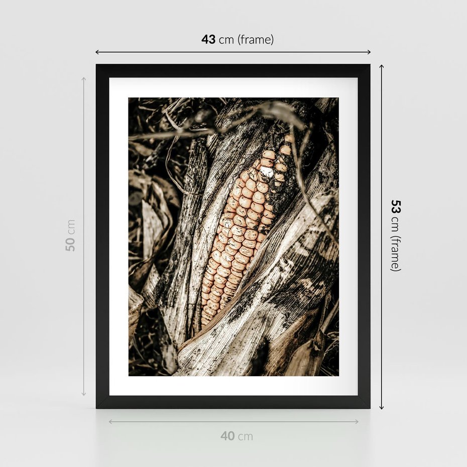 Plakat w ramie 40x50 - Kukurydza w Jesiennej Scenie - kukurydza, jesień - rama czarna