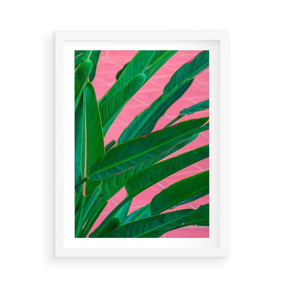 Plakat w ramie 50x70 - Odezwij się do przeszłości - liście, retro - rama biała