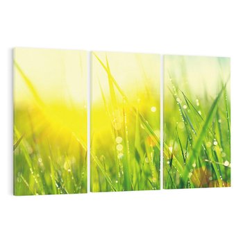 Obraz na płótnie 120x80 - Piękno Poranka - łąka, trawa
