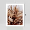 Plakat bez ramy 40x50 - Sztuka Suszonych Traw - trawa pampas, suszone trawy