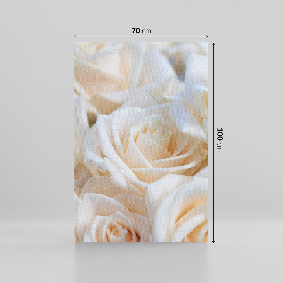 Obraz na płótnie 70x100 - Białe róże piękności - białe, róże