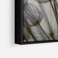 Obraz w ramie 50x70 - Makro dmuchawiec - piękno drobnych detali - dmuchawce, makro - rama czarna
