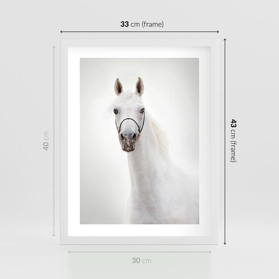 Plakat w ramie 30x40 - Elegancja białego konia - biały, koń - rama biała