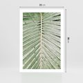 Plakat bez ramy 21x30 - Jasna Zieleń Palmy - liść palmy, zbliżenie