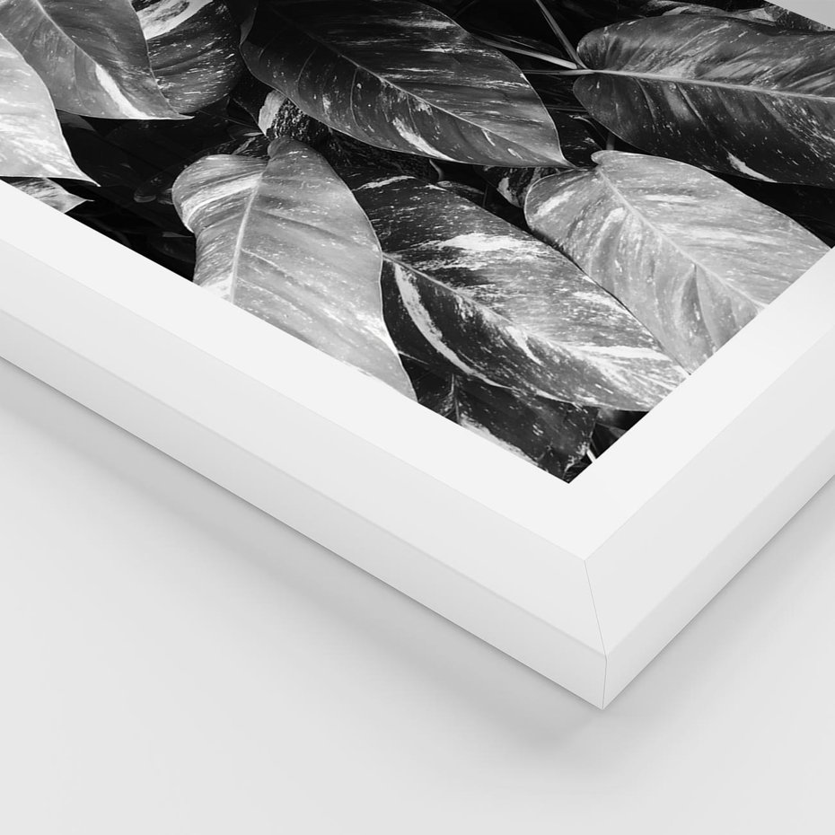 Plakat w ramie 50x70 - Liście w Czarno-Białej Fotografii - liście, roślina - rama biała