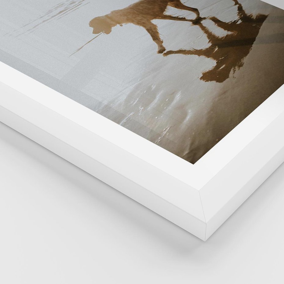 Plakat w ramie 50x70 - Przyjaciel na Plaży - pies, na plaży - rama biała