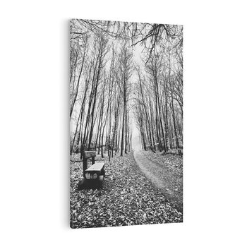 Obraz na płótnie 80x120 - Spadające Liście - czarno białe zdjecie, park