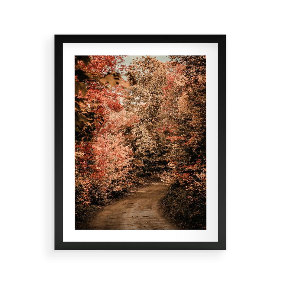 Plakat w ramie 40x50 - Obraz przedstawia jesienne drzewa i czerwone liście na ścieżce w lesie. Ta sceneria doskonale oddaje urok i kolorystykę jesieni w lesie. - las, jesień - rama czarna