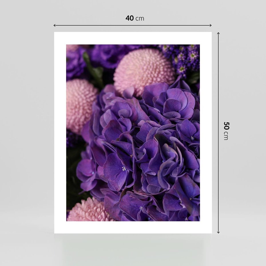Plakat bez ramy 40x50 - Fioletowa hortensja - kwiaty, hortensja