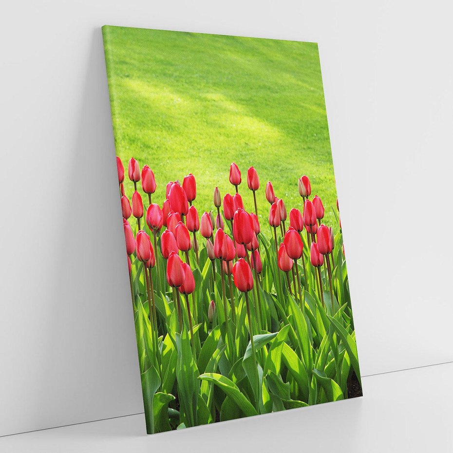 Obraz na płótnie 70x100 - Tulipanowy raj - kwiat, kwiaty