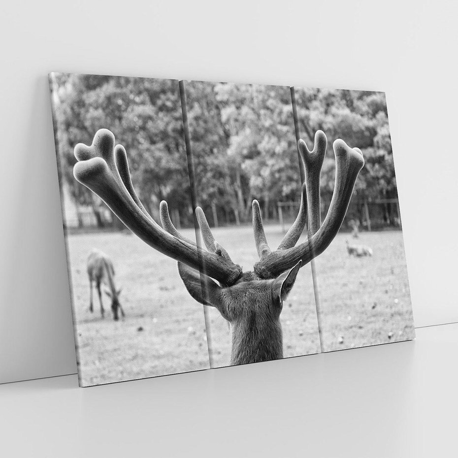 Obraz na płótnie 120x80 - Przygubione motyle marzeń - fotografia czarno biała, młody jeleń w zagrodzie