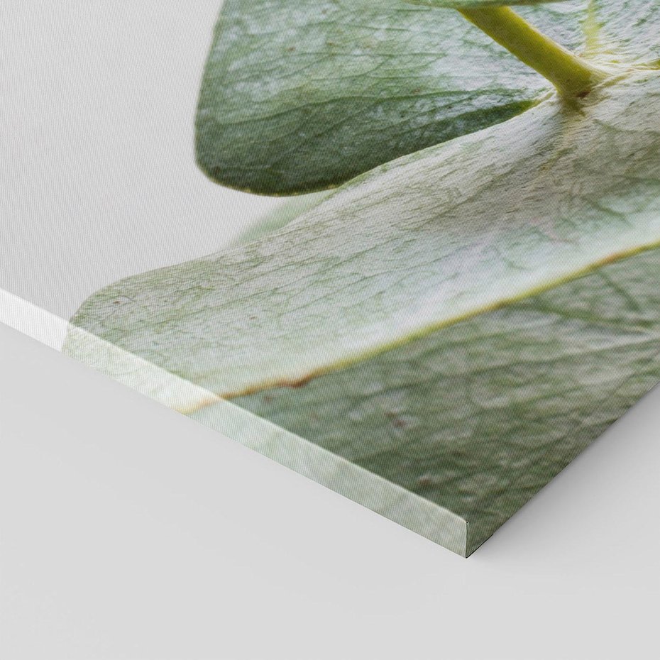 Obraz na płótnie 30x30 - Eukaliptusowa zieleń - eukaliptus, zielone