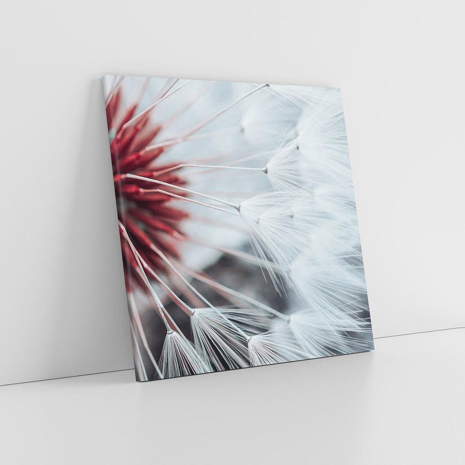 Obraz na płótnie 70x70 - Makro świat dmuchawca - dmuchawiec, makro