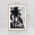 Plakat w ramie 50x70 - Mono Tropiki - palmy, drzewa palmowe - rama drewno