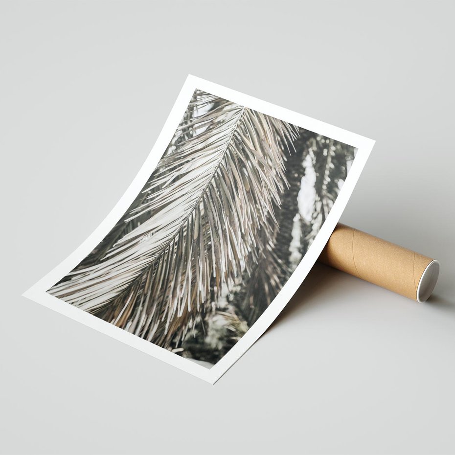 Plakat bez ramy 21x30 - Egzotyczne Gałęzie - suche gałęzie, liście palmy