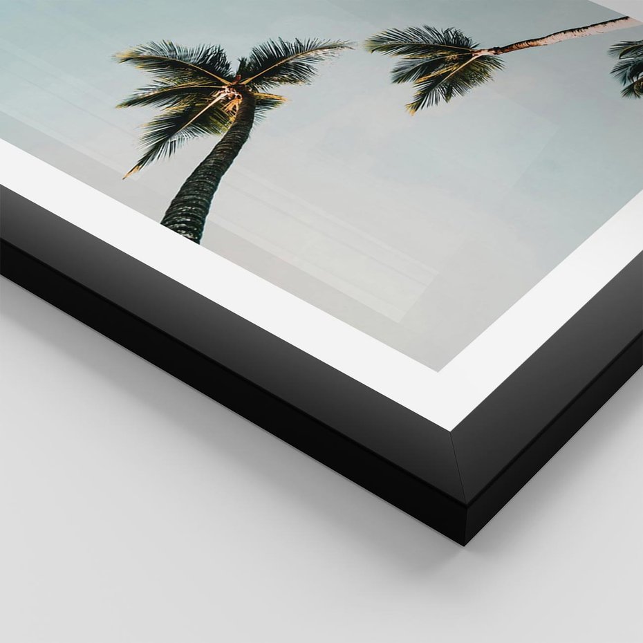 Plakat w ramie 40x50 - Palmy i Niebo - palmy, ujęcie z dołu - rama czarna