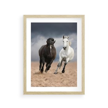 Plakat w ramie 30x40 - Siła koni w galopie - konie, galop - rama drewno