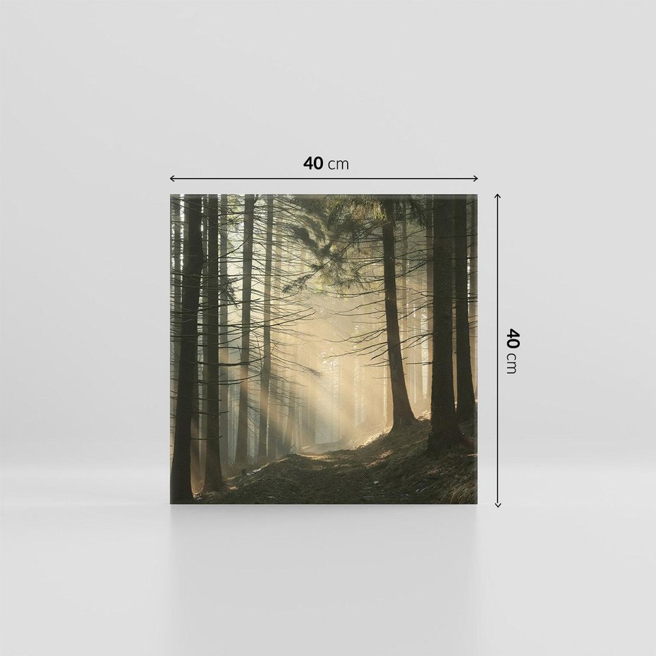 Obraz na płótnie 40x40 - Urok lasu: drzewa w pełnej okazałości - las, drzewa