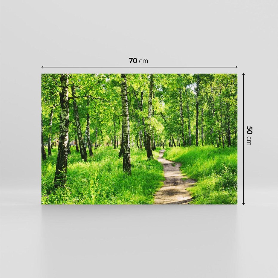Obraz na płótnie 70x50 - odkryj piękno drzew - las, drzewa