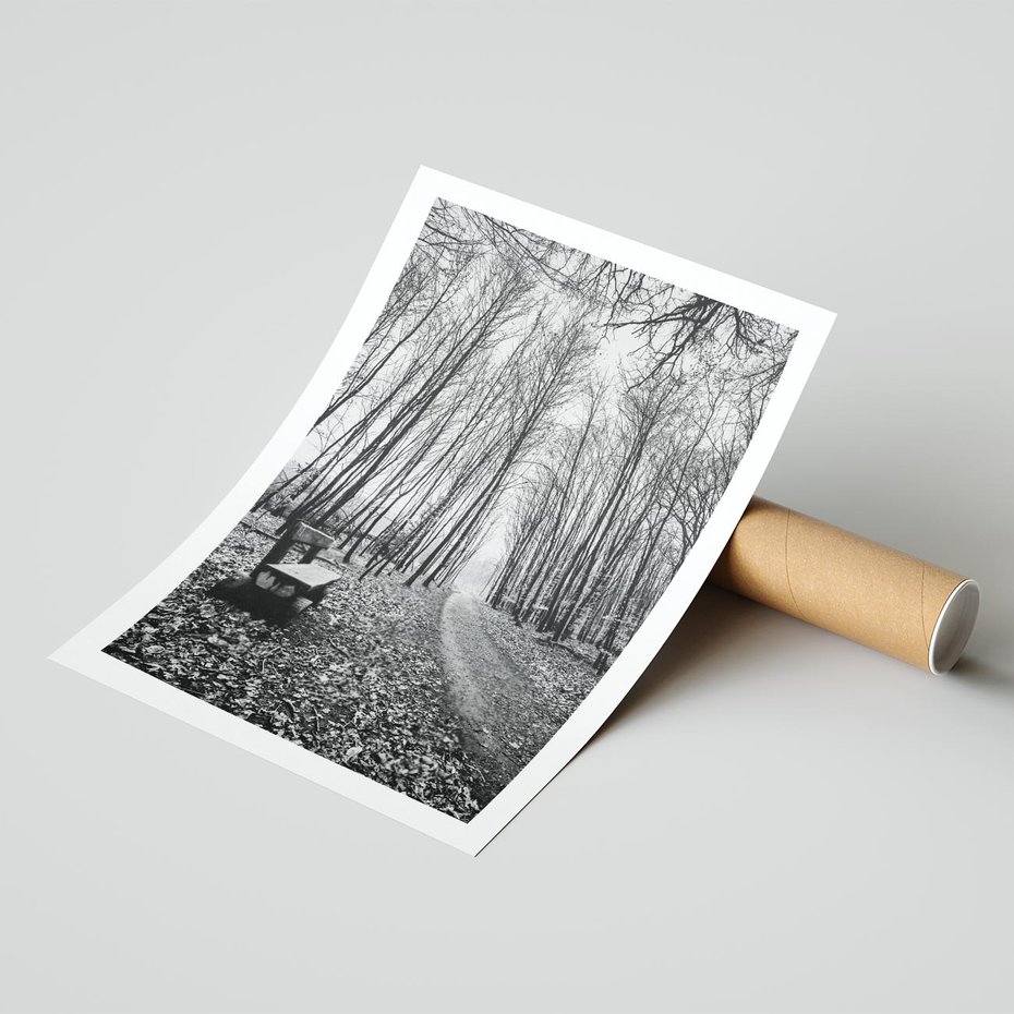 Plakat bez ramy 30x40 - Spadające Liście - czarno białe zdjecie, park