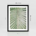 Plakat w ramie 40x50 - Jasna Zieleń Palmy - liść palmy, zbliżenie - rama czarna