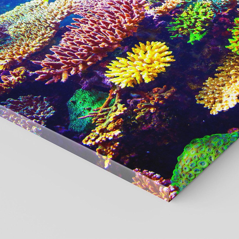 Obraz na płótnie 120x60 - Podwodne Zaczarowanie - kolorowa rafa koralowa, ukwiały