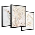 Zestaw obrazy w ramie 30x40 galeria - Suche, trawy, boho, styl - rama czarna