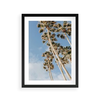 Plakat w ramie 50x70 - Pod Niebem Palmy - palmy na niebieskim niebie - rama czarna