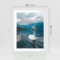 Plakat w ramie 40x50 - Łabędzi Śpiew - fotografia, plakat - rama biała