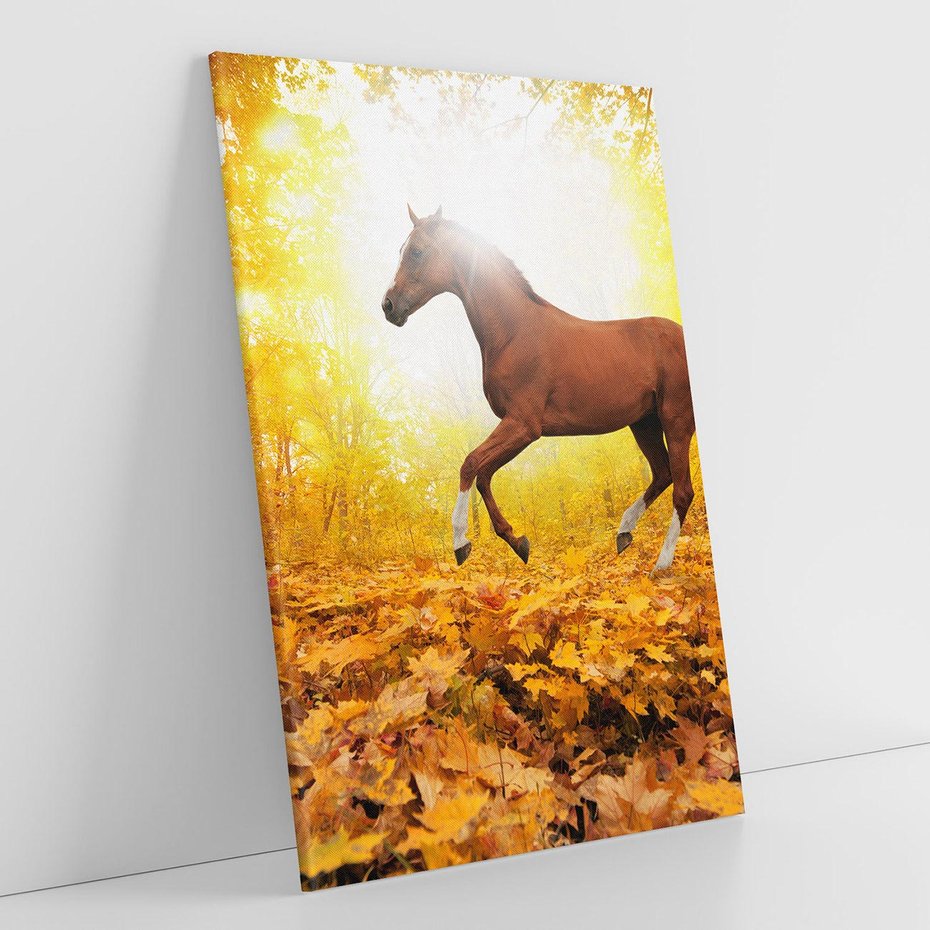 Obraz na płótnie 50x70 - Moc konia w zachodzie słońca - koń, słońce