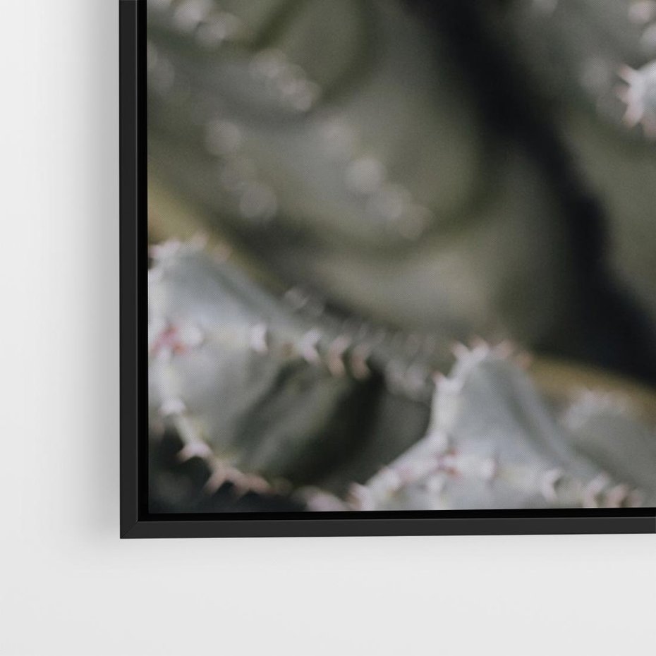 Obraz w ramie 70x50 - Boho kaktusy na pustyni - kaktusy, pustynia - rama czarna