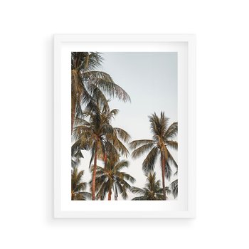 Plakat w ramie 50x70 - Palmy - tęsknota za Hawajami - palmy, Hawaje - rama biała