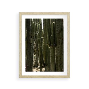Plakat w ramie 30x40 - Wyjątkowy Klimat Boho - kaktusy, pustynia - rama drewno
