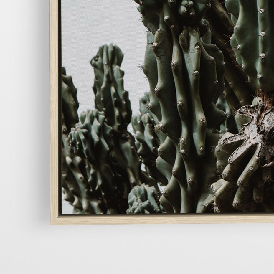Obraz w ramie 50x70 - Boho oaza wśród kaktusów - kaktusy, pustynia - rama drewno