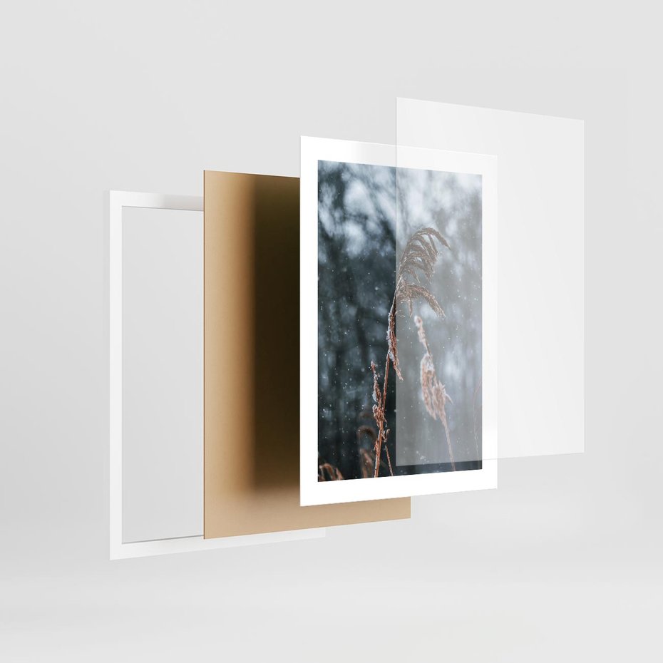 Plakat w ramie 30x40 - Zima na Łonie Natury - sucha wysoka trawa, w zimie - rama biała
