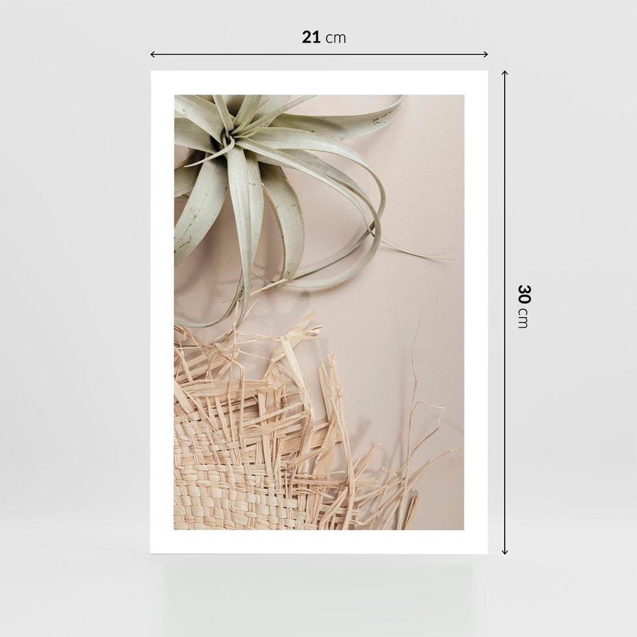 Plakat bez ramy 21x30 - Aloes w Stylu Boho - kompozycja, wiklina
