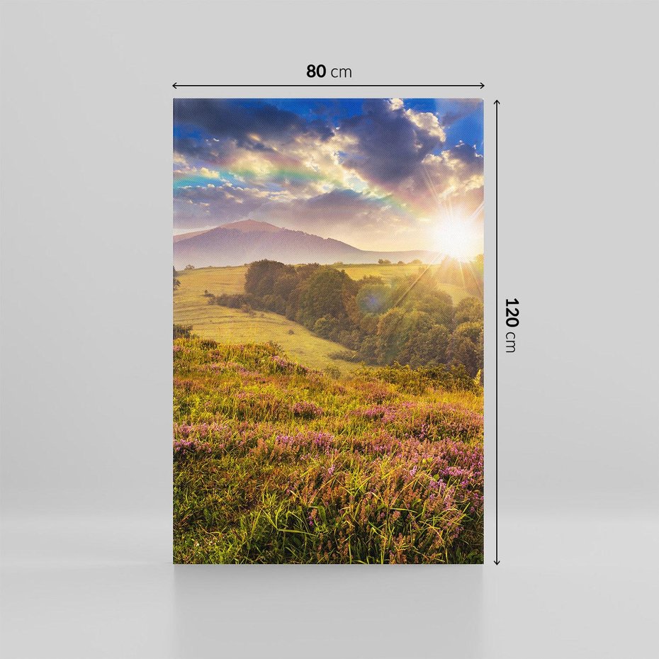 Obraz na płótnie 80x120 - Pejzaż na łące - pejzaż, łąka