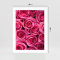 Plakat bez ramy 30x40 - Romantyczne róże w pełnym rozkwicie - róże, kwiaty