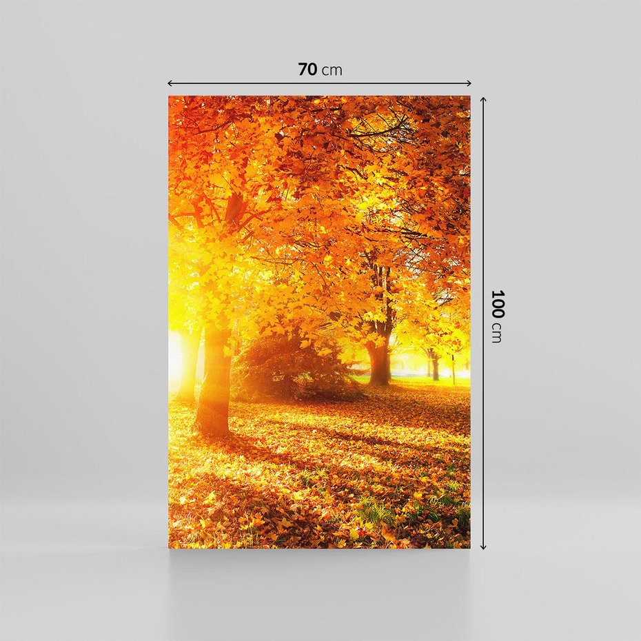 Obraz na płótnie 70x100 - Magia jesiennego lasu - las, drzewa