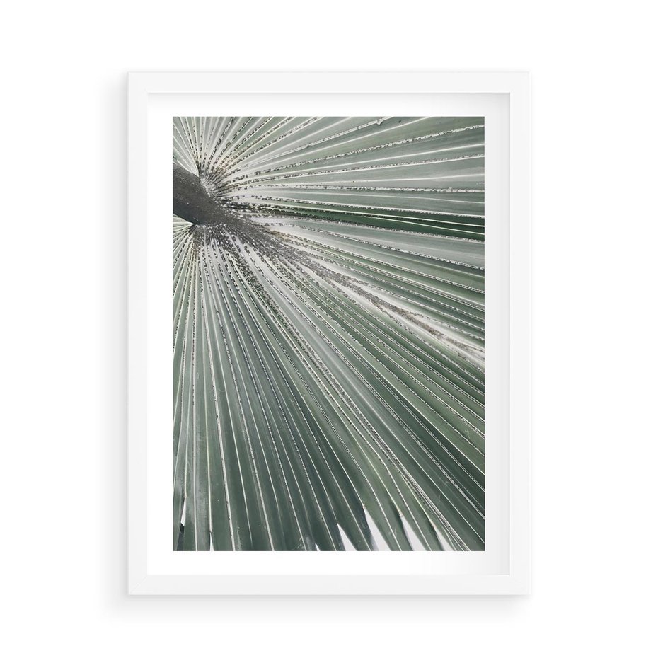 Plakat w ramie 50x70 - Jasnozielony Świat - palma, liść - rama biała