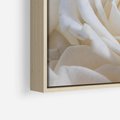 Obraz w ramie 80x80 - Białe róże piękności - białe, róże - rama drewno