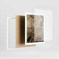 Plakat w ramie 40x50 - Słoje Natury - słoje drzewa, pieńdrzewa - rama biała