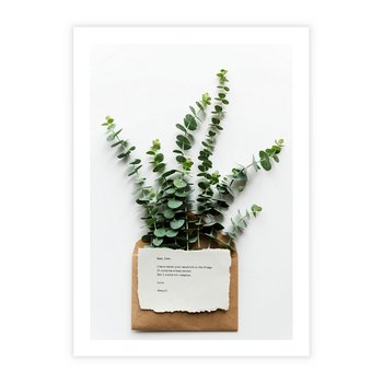 Plakat bez ramy 21x30 - Eukaliptusowa harmonia - eukaliptus, liście