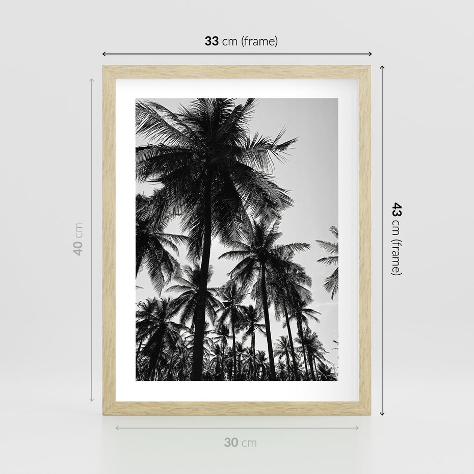 Plakat w ramie 30x40 - Mono Tropiki - palmy, drzewa palmowe - rama drewno