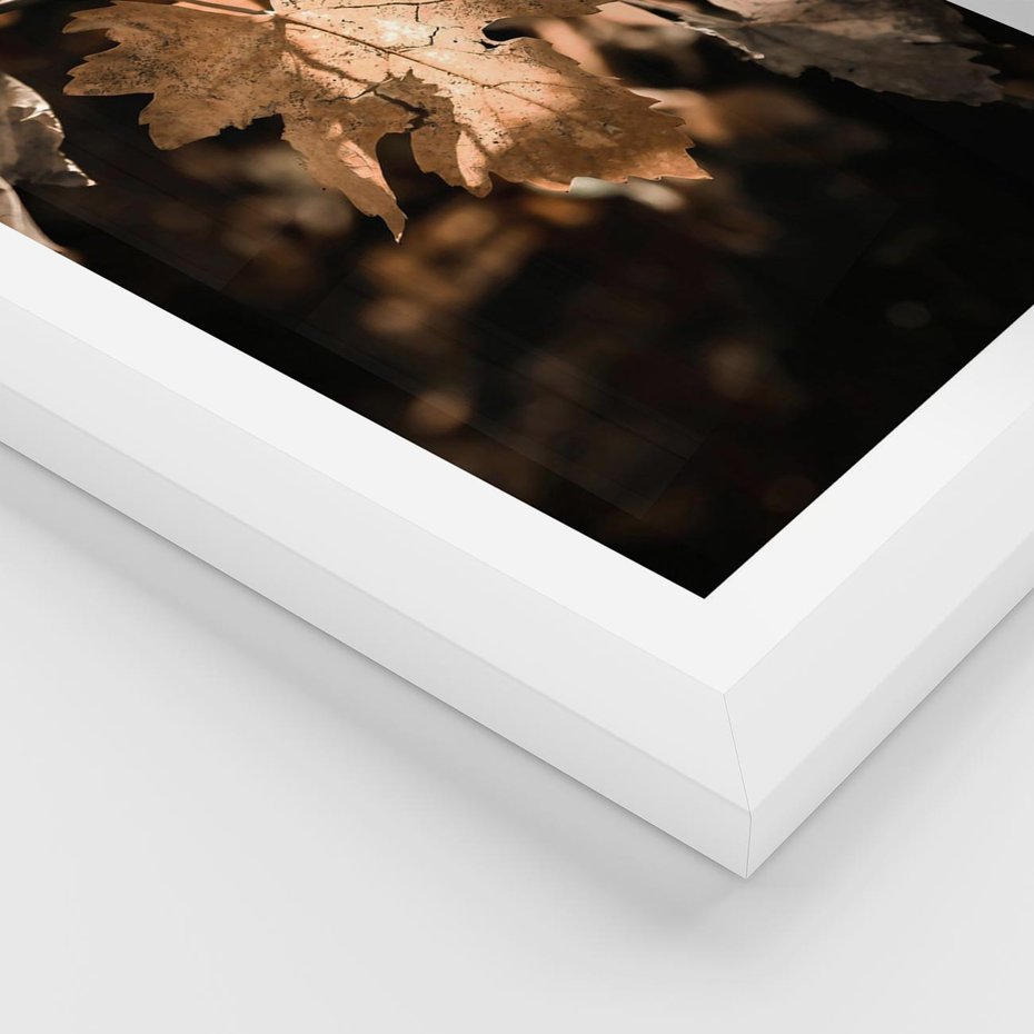 Plakat w ramie 50x70 - Uroczy Liść na Drzewie - jesienny liść, żółty liść na drzewie - rama biała