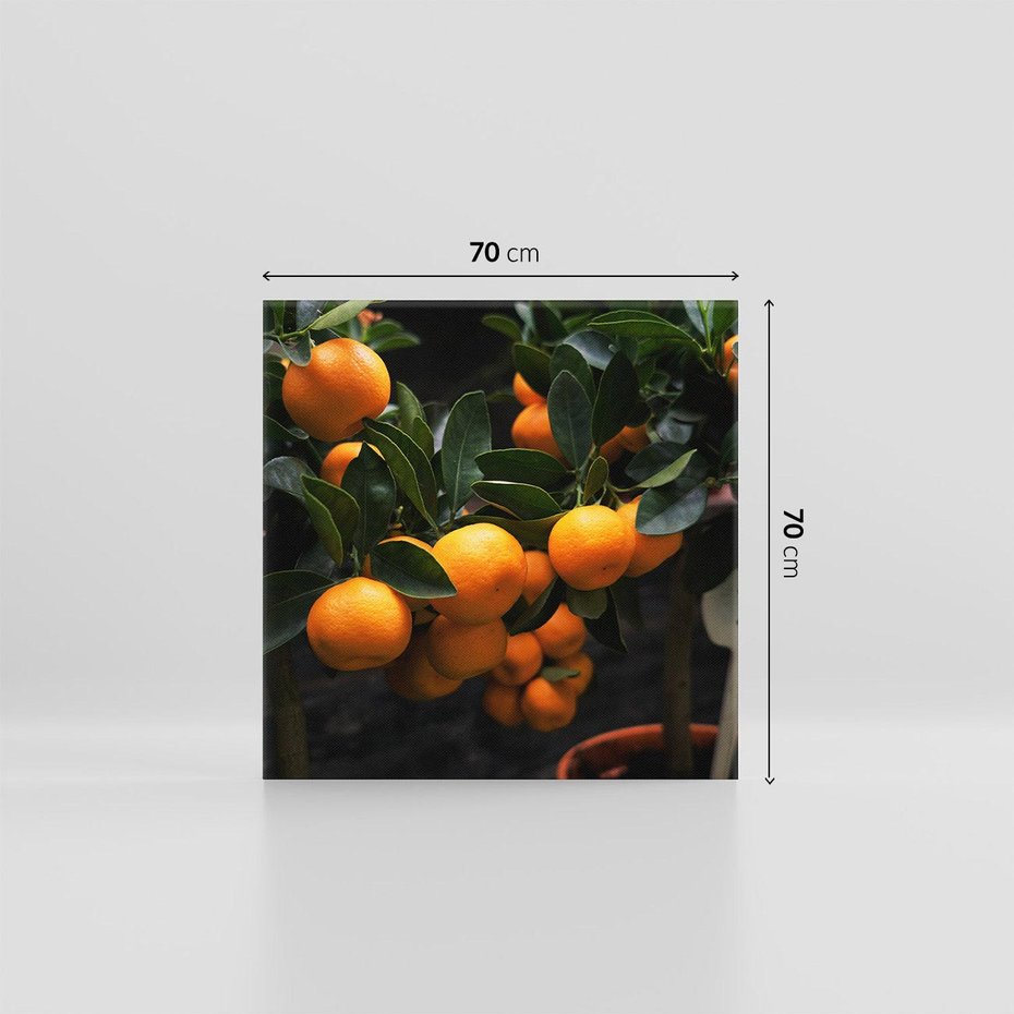 Obraz na płótnie 70x70 - Mandarynki na Drzewku - Owoce Pory Roku - mandarynki, drzewko