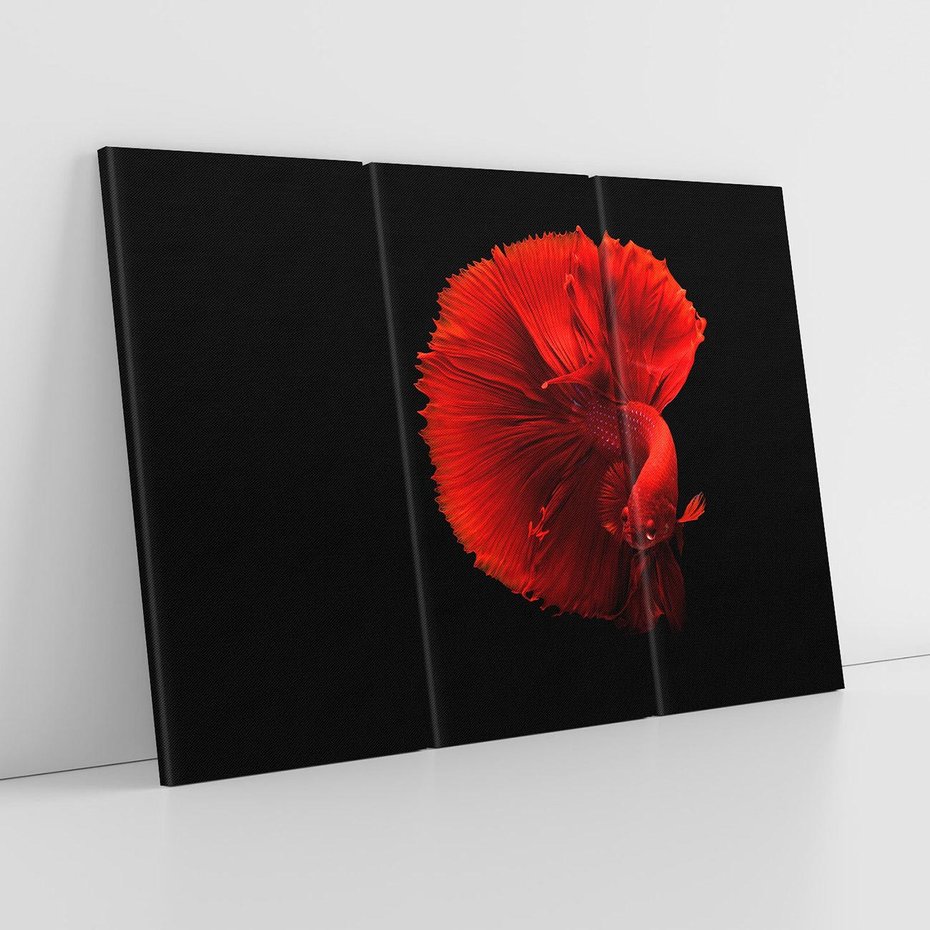 Obraz na płótnie 120x80 - Ryba wśród fal - ryba, morze