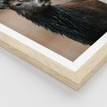 Plakat w ramie 40x50 - Spokojny jeleń - jeleń, las - rama drewno