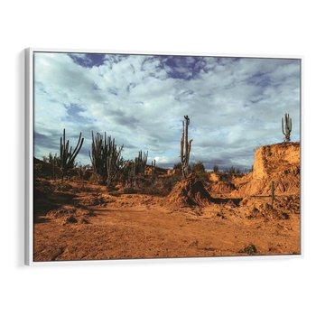Obraz w ramie 70x50 - Skarby Pustynnego Kanionu - pustynia, kaktusy - rama biała