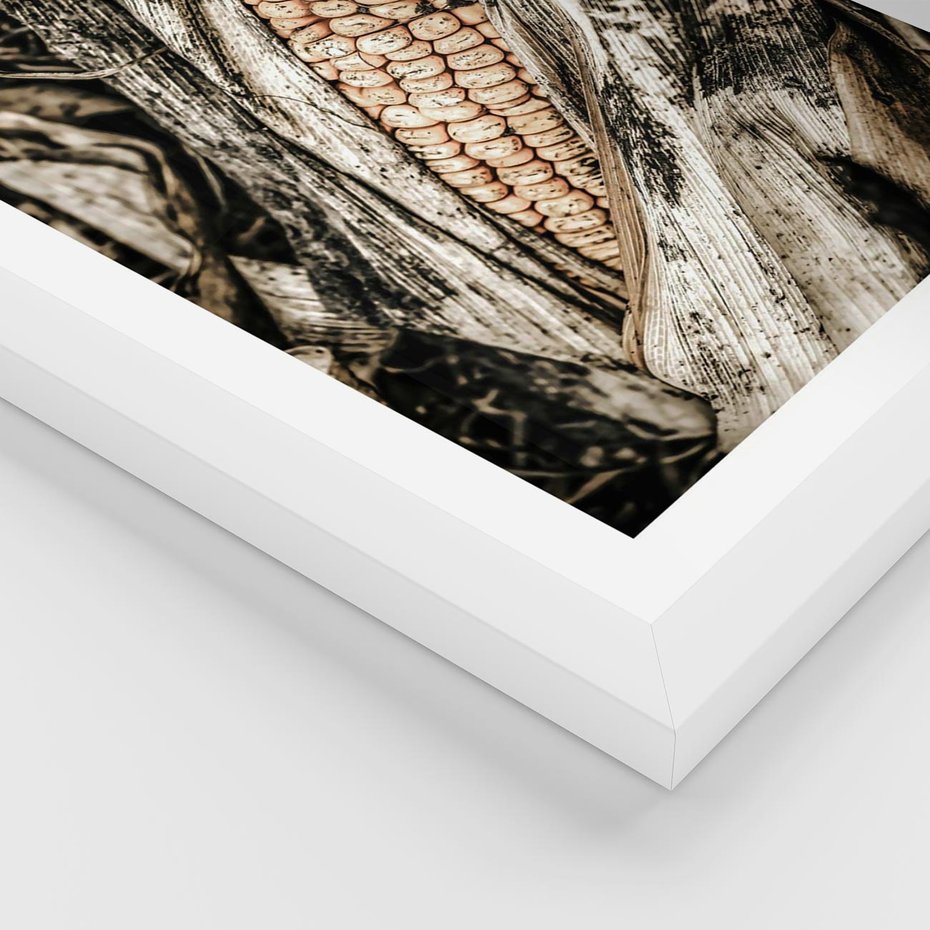 Plakat w ramie 30x40 - Kukurydza w Jesiennej Scenie - kukurydza, jesień - rama biała